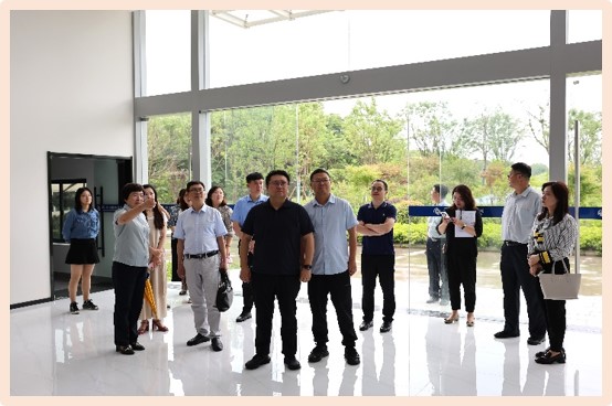 388vip̫������˳��ͨ������Ƽ�����������